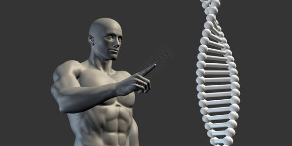 科学DNADNAHelix人类外观或研究结构图片
