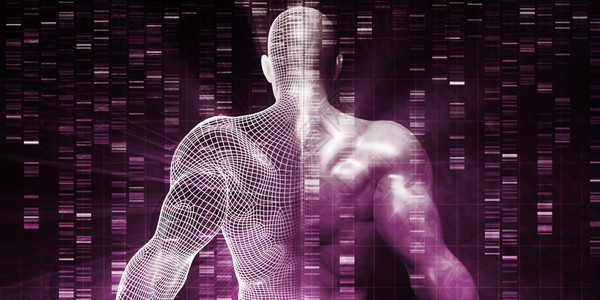 关于人体器官DNA结构的遗传研究关于人体器官的遗传研究图片