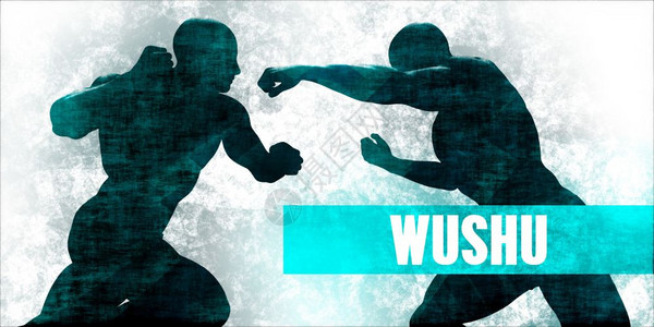 Wushu武术自卫训练概念背景图片