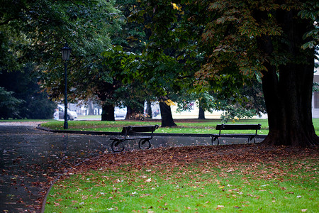 公园的湿长椅图片