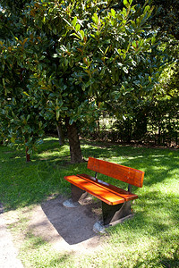 孤单的长凳在公园下图片