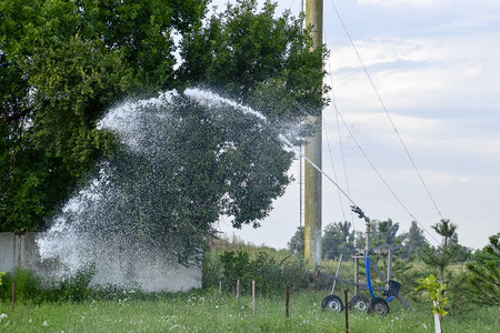 在公园里浇水田地灌溉系统图片