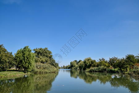PoltavaYerik风景河流水和树木图片