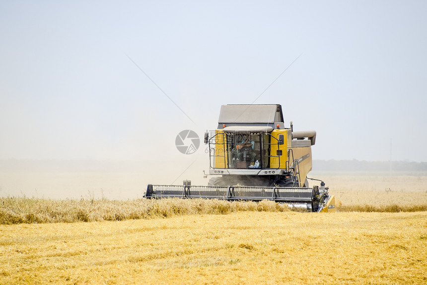 俄罗斯克拉诺达尔附近的田地2017年月5日用联合收获器小麦成熟田农业机械图片
