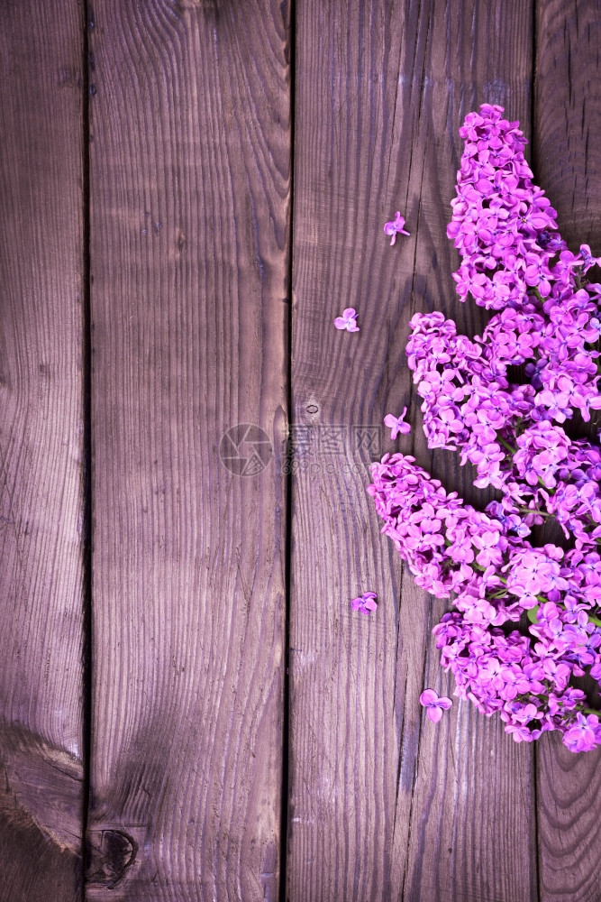 棕色木表面的紫边环枝中间空图片