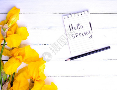 笔记本上写着哈罗春天和一束黄色的花图片