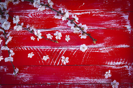 下方空的红木本底白花背景图片