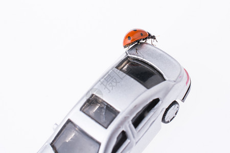 红色虫在一辆玩具汽车上行走图片