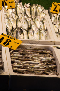 供在鱼市场出售的新鲜产品吃高清图片素材