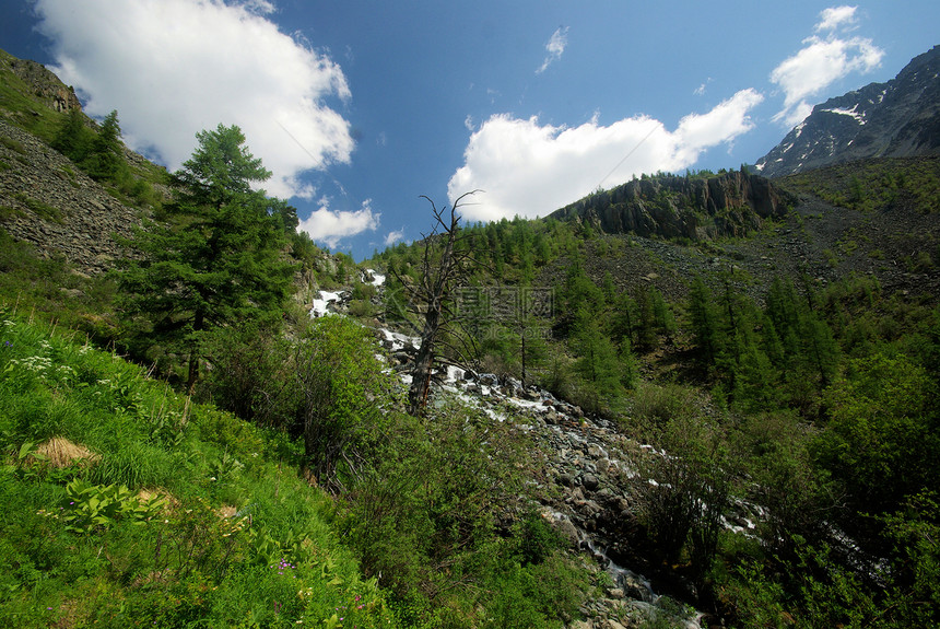 山中的河峡谷附近石头和岩河流附近的头和岩美丽的山地区河美丽地图片