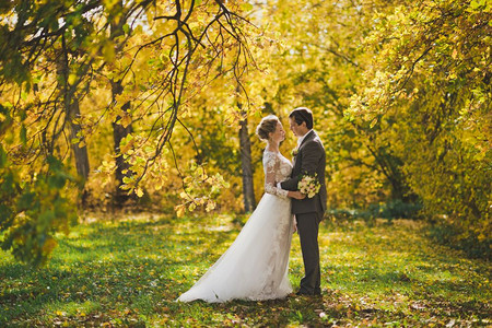 新娘和郎在秋天的森林中走310号路图片