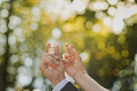 新婚夫妇手上戴着结婚戒指的拥抱手拿结婚戒指1622图片