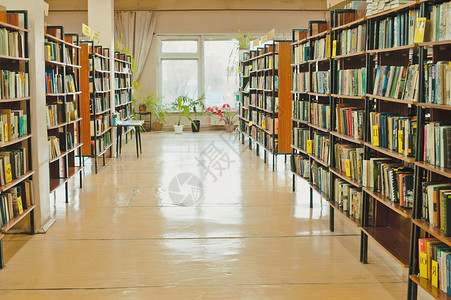 藏有图书馆籍的团875图书馆图片