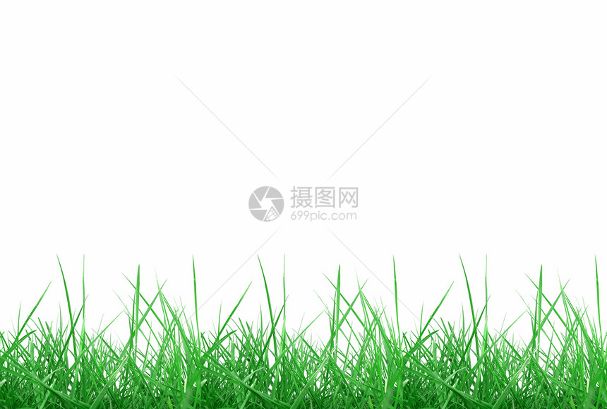白底绿草带复制空间图片