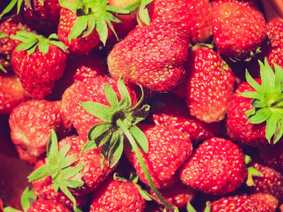 树草莓旧老的以草莓果为食物背景的旧以草莓果为食物背景的有用图片