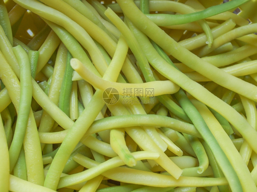 绿豆绿豆又名四季豆或四季豆蔬菜图片