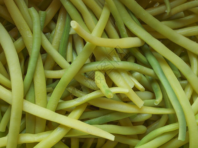 绿豆绿豆又名四季豆或四季豆蔬菜图片