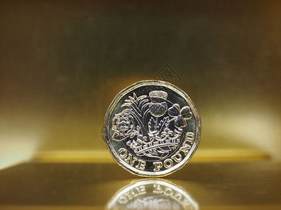 1英镑硬币联合王国对黄金的汇率1英镑硬币联合王国对金币的汇率图片