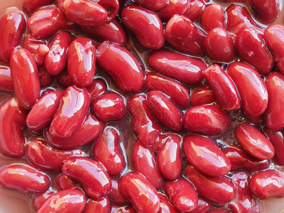 普通豆类Schephicolus粗俗的红色肾类豆蔬菜素食品图片