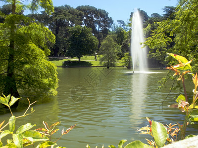 公园里有喷泉的湖图片