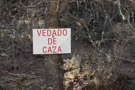 树上挂有禁止用西班牙语打猎的海报图片