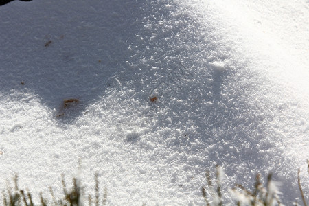 沉落在地上的雪粉图片