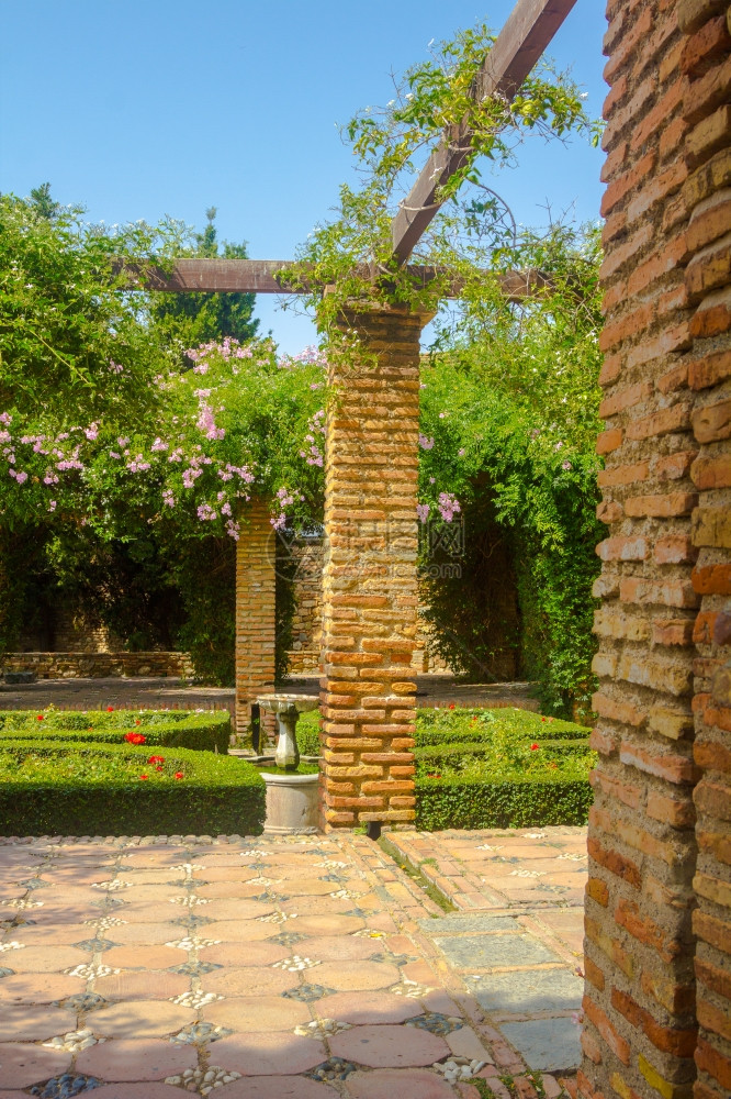西班牙马拉加著名的Alcazaba宫的庭院和花园图片