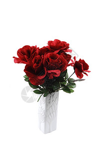 白色花瓶里的红丝玫瑰白色背景的花瓶背景图片