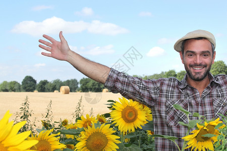 农民和向日葵图片