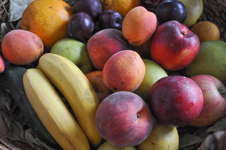 水果食品许多不同水果包括桃香蕉梨苹果和橙图片