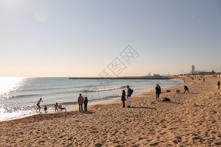 2015年月4日海滩旅游者图片