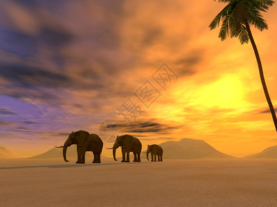 大象家族在衰退和远处山峰背景下图片