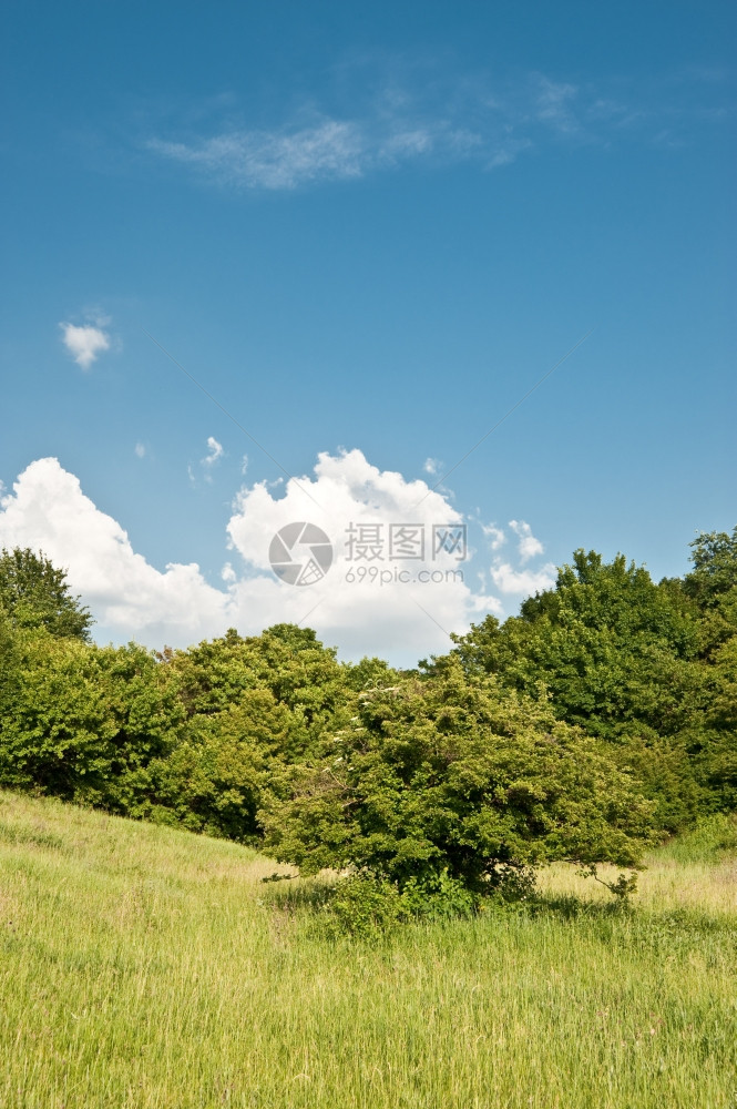 草地和天空每年夏季的农村地貌图片