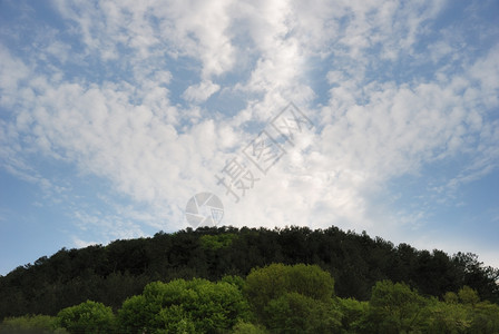 林中天空和树的木头与有云的效天空星座图片