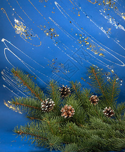 圣诞节日背景圣诞树枝和松木图片