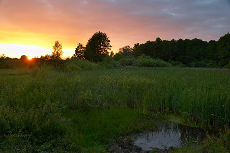 夏季傍晚草原上的小池塘图片