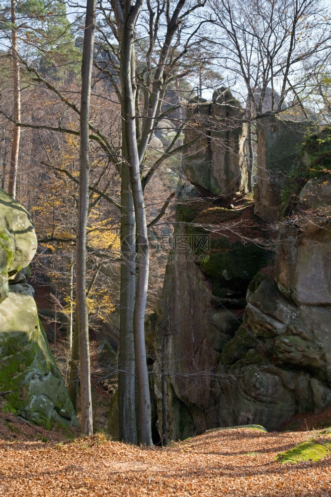 秋天森林SkeliDovbusha伊万诺弗兰科夫斯克地区乌兰的巨石图片