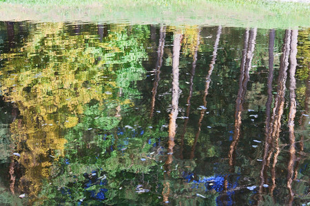 水池面反映秋天公园的多彩树木和蓝天空背景图片