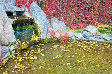 秋季公园中割片叶和小瀑布的池塘水面图片
