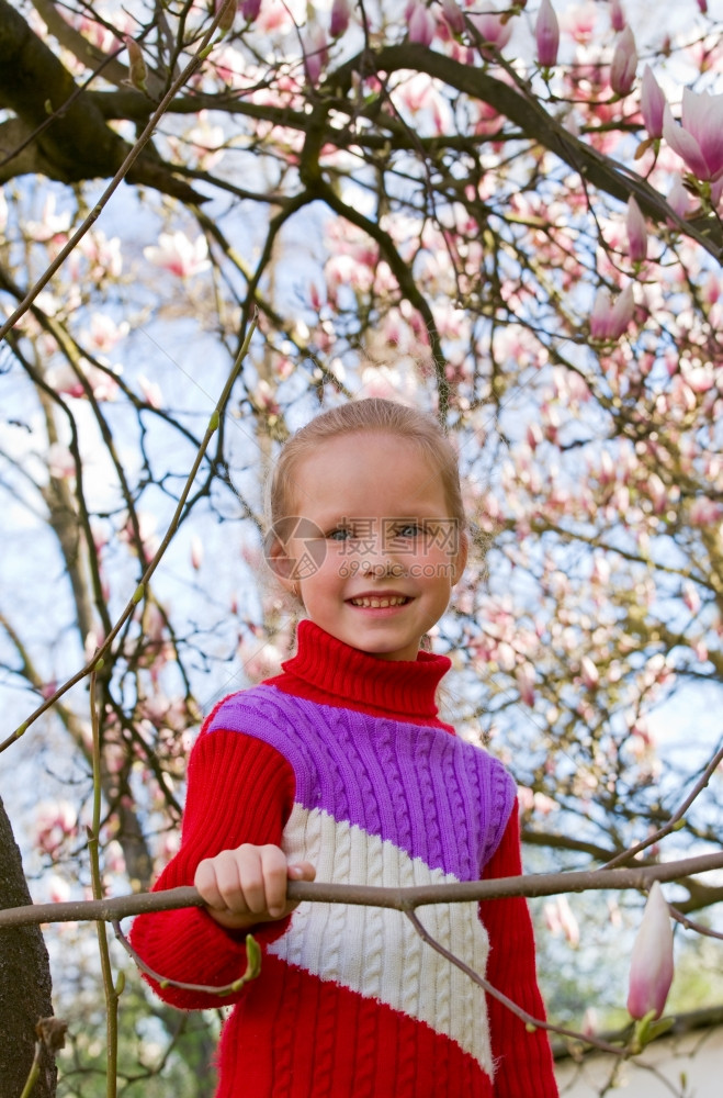 快乐的小女孩肖像在盛开的木兰花树附近图片