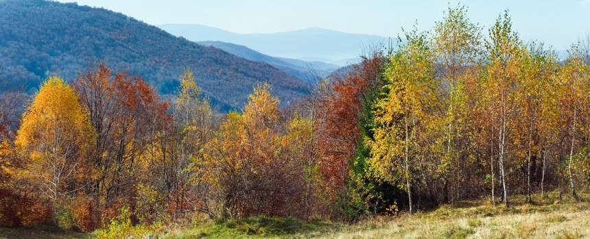 前面是秋山全景和脊林喀尔巴阡山乌克兰两针缝合图像图片
