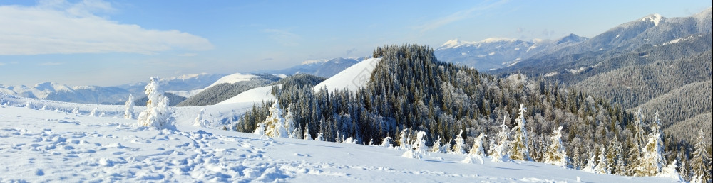 冬季平静的山地风景上布满了和雪覆盖树木远处的甘基山群喀尔巴阡乌克兰图片