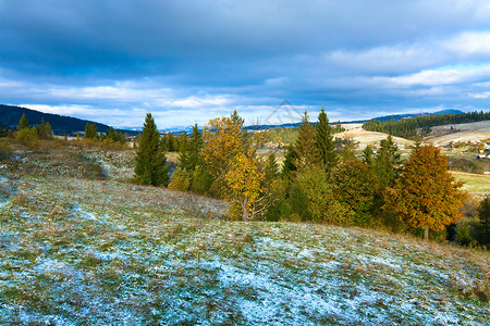 高原冬季雪景树林高清图片素材
