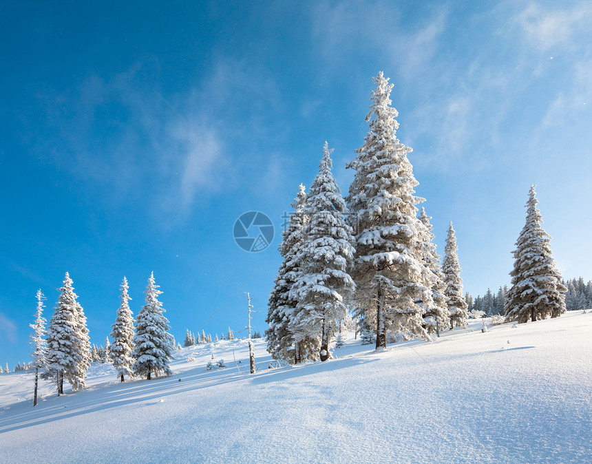 山上边蓝天空背景的风雪覆盖了山边的林图片