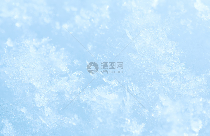 白雪表面的冬季花综合宏观照片具有相当深的锐度图片