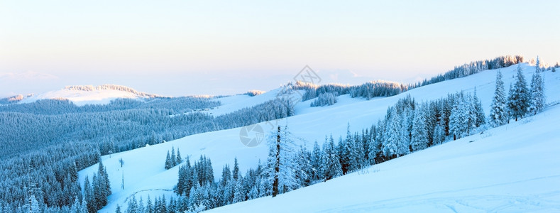 上午清晨冬季平静的山地景观坡上有森林和棚喀尔巴阡山乌克兰图片