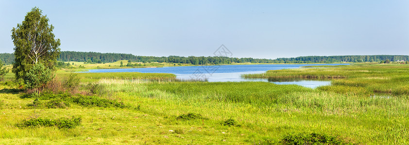 在对岸和小林子一起看夏日匆的湖景两针缝合图象背景图片