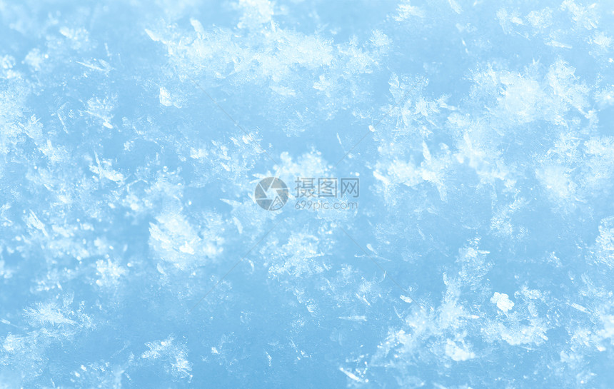 白雪表面的冬季花综合宏观照片具有相当深的锐度图片