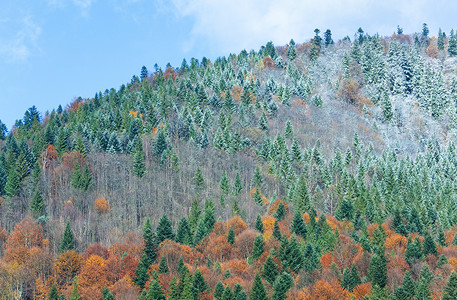 阳光秋天的山林和第一个秋天的霜冻在树顶山边的上背景图片