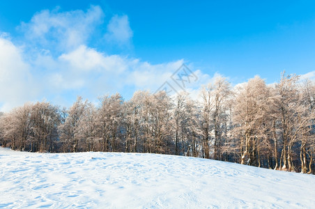 10月山尖森林边缘和第一个冬季积雪寒冷的高清图片素材